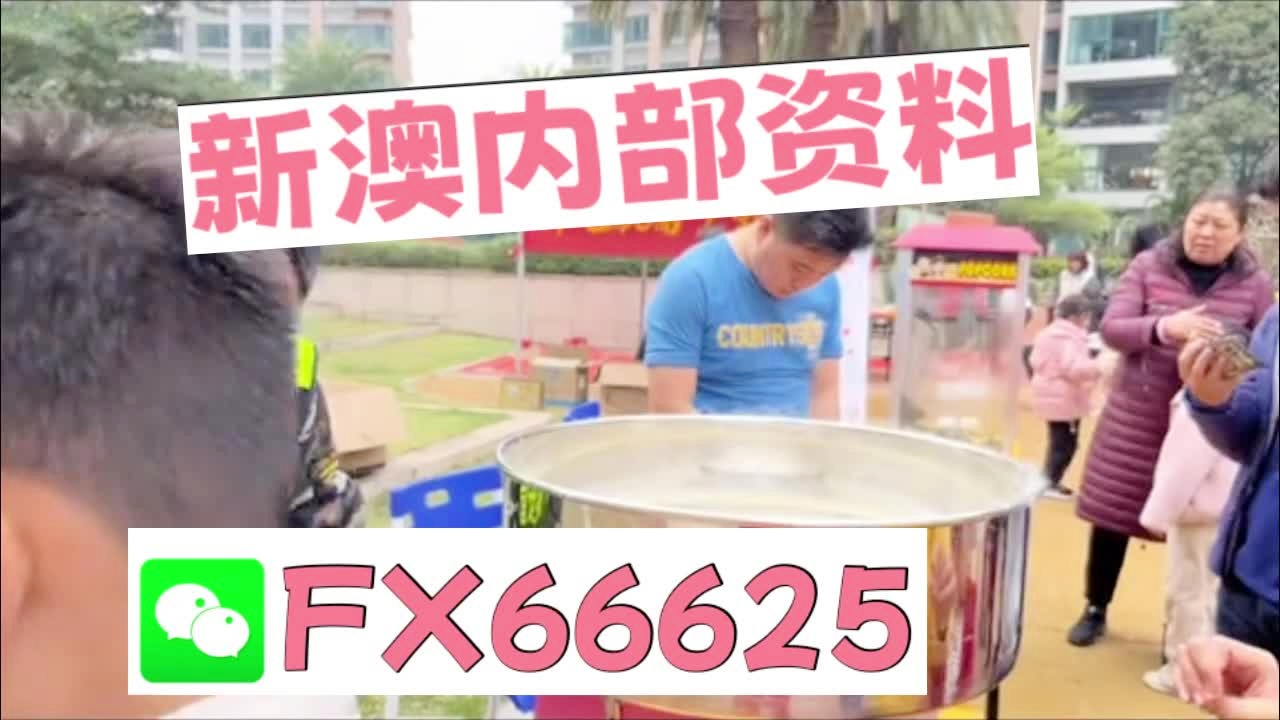 新奧2025資料大全最新版本，全面解析與深度洞察，新奧2025資料大全最新版，全面解析與深度洞察報(bào)告