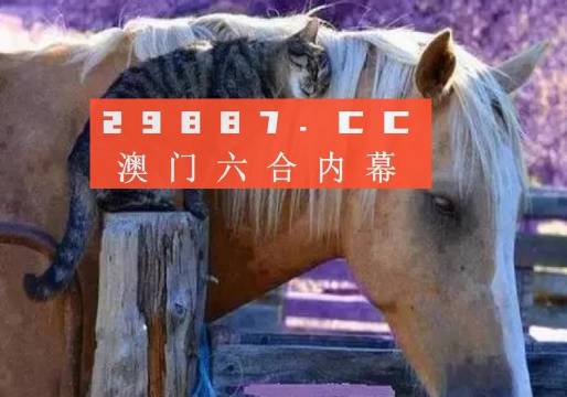 澳門(mén)一肖一碼一待一中四不像，探索與解析，澳門(mén)一肖一碼一待一中四不像，深度解析與探索