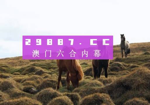澳門今晚開獎什么，揭秘彩票背后的秘密與策略分析，澳門彩票開獎揭秘，策略分析與秘密探索