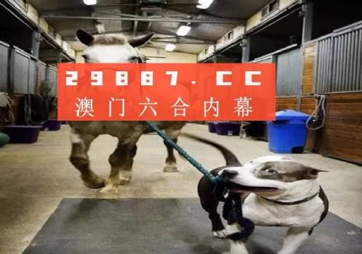 澳門一肖一碼一必中一肖，同舟前進(jìn)的奧秘與策略，澳門一肖一碼必中策略與前進(jìn)奧秘，同舟共濟(jì)的揭秘與策略