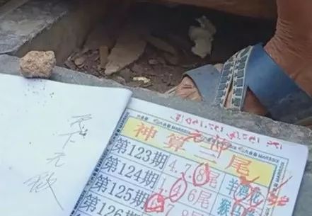 香港中特期期準(zhǔn)資料，深度解析與探索，香港中特期期準(zhǔn)資料深度解析與探索報(bào)告