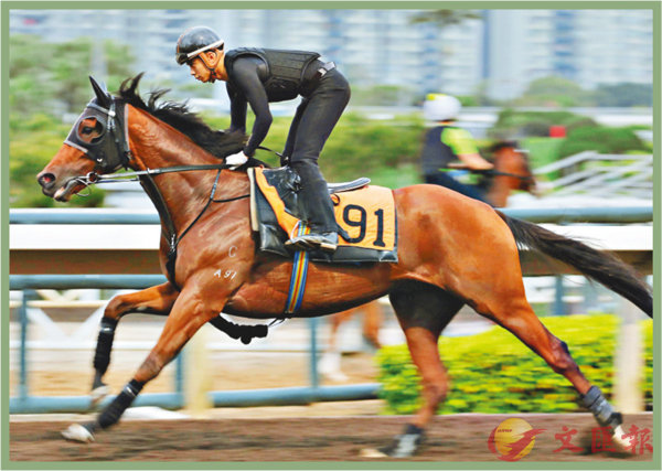 香港賽馬，探索數(shù)字背后的激情與榮耀，香港賽馬，數(shù)字背后的激情與榮耀之旅