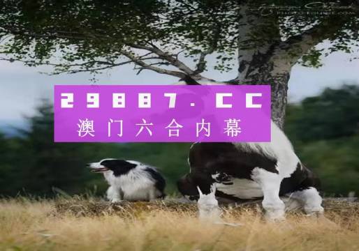 澳門天天空彩官網(wǎng)資料，探索彩票世界的門戶，澳門天天空彩官網(wǎng)資料，彩票世界探索門戶