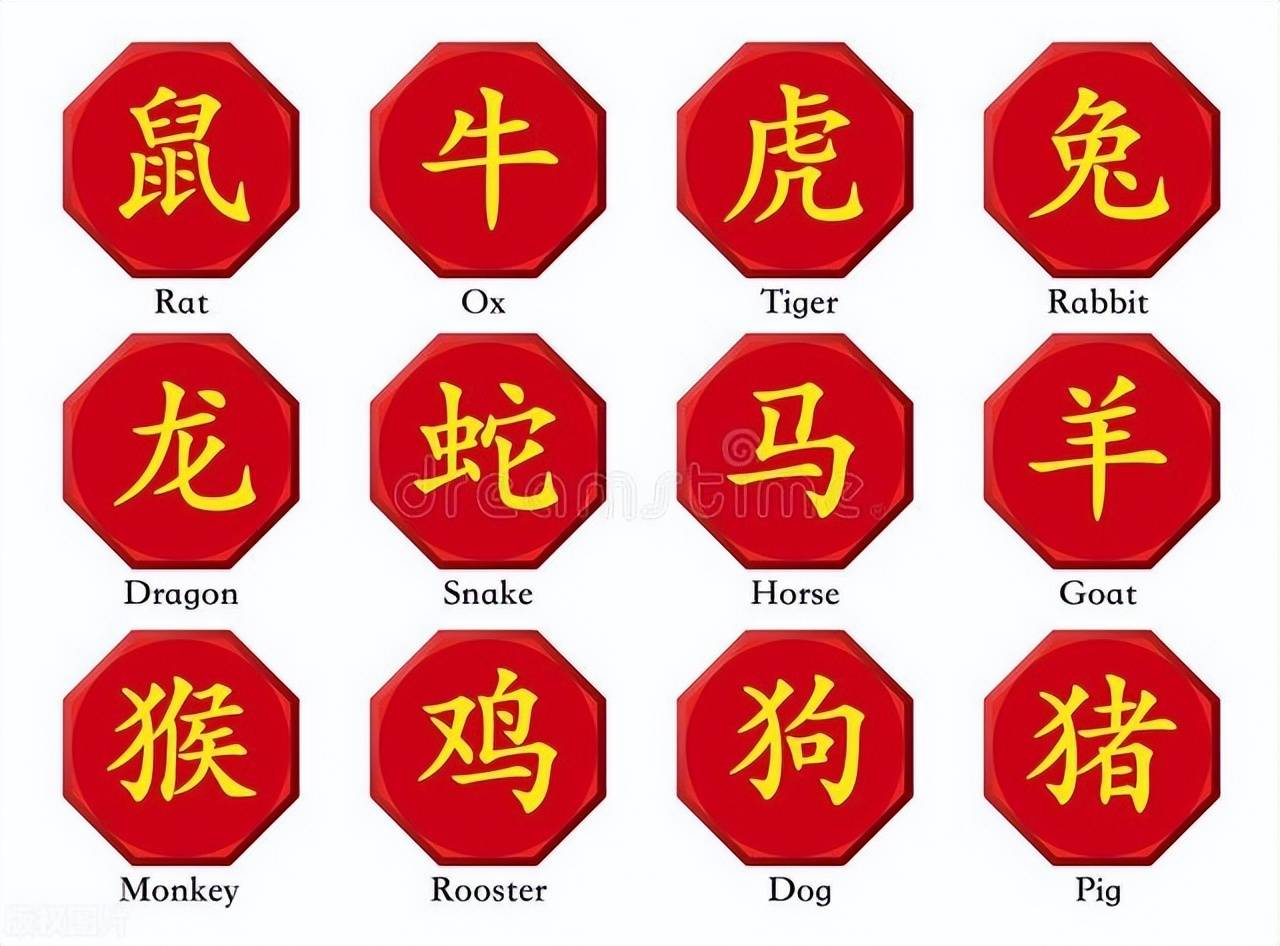 新澳特碼，羊?；⒏鲾?shù)10——揭秘背后的數(shù)字奧秘，揭秘新澳特碼數(shù)字奧秘，羊?；⒏鲾?shù)背后的秘密