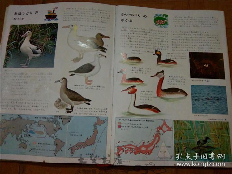 今日正版跑狗圖分享，探索7777788888跑狗圖的魅力，今日正版跑狗圖分享，探索魅力十足的777778跑狗圖