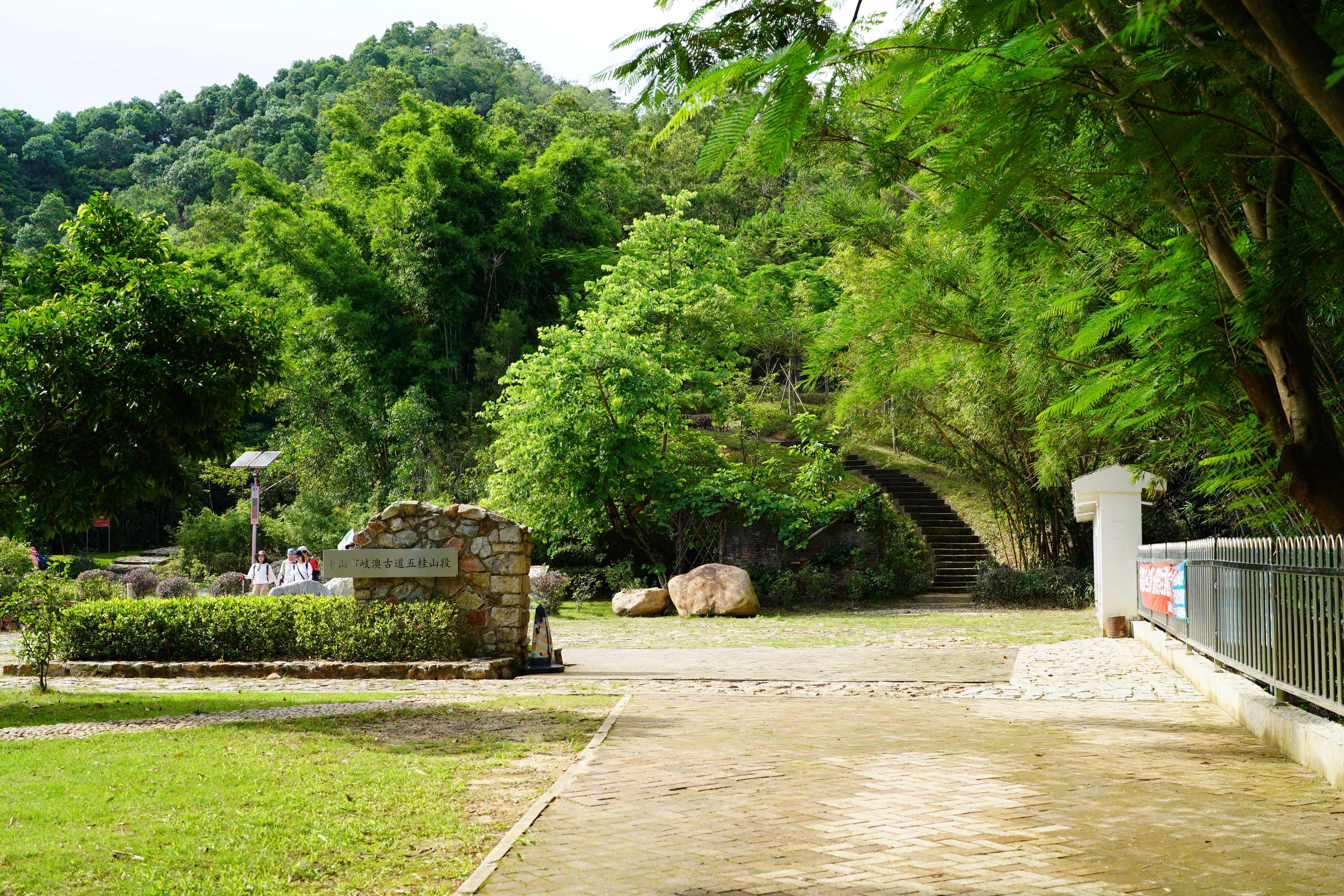 新澳門彩生肖走勢(shì)圖，探索與解讀彩票背后的秘密，探索解讀新澳門彩生肖走勢(shì)圖，彩票背后的秘密揭秘