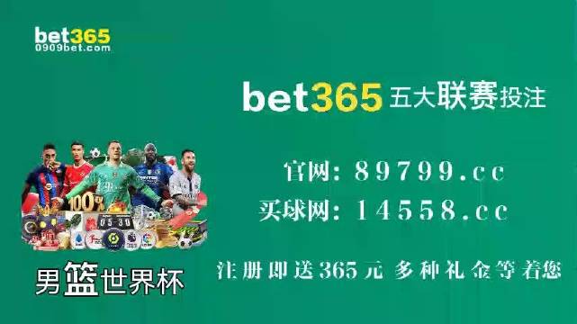王中王中特馬王中王精準資料解析與SEO優(yōu)化策略探討，王中王中特馬精準資料解析與SEO策略探討