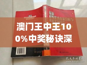 新澳門王中王期期中，探索與解析，新澳門王中王期期中，深度探索與解析