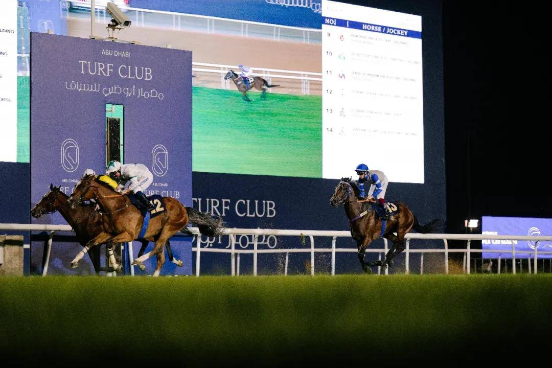 澳門特馬今晚開獎一，探索彩票背后的秘密與期待，澳門特馬今晚開獎，揭秘彩票背后的秘密與期待大獎的激動心情
