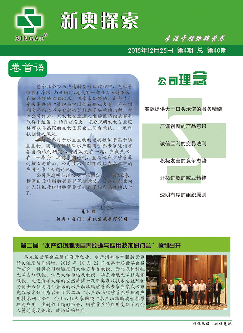 2025新澳正版資料查詢指南，2025新澳正版資料查詢手冊(cè)
