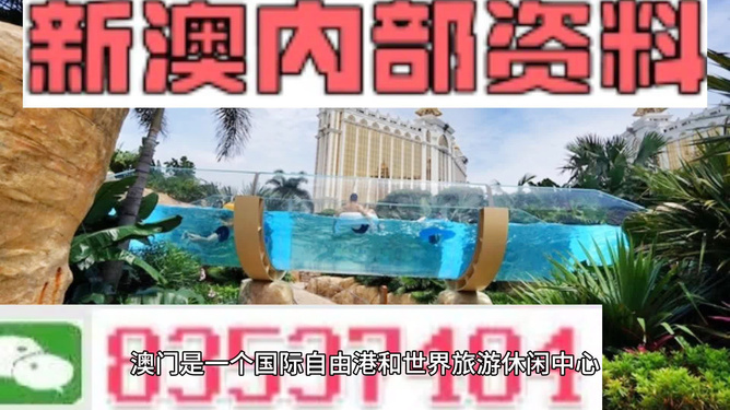 新澳的資料去哪里找——全面指南，新澳資料全攻略，尋找資料的途徑與指南