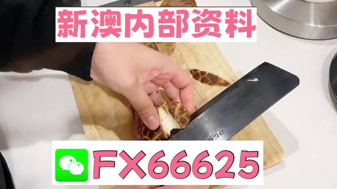 澳門九點半9點半網(wǎng)站——探索其魅力與優(yōu)勢，澳門九點半網(wǎng)站，魅力與優(yōu)勢探索