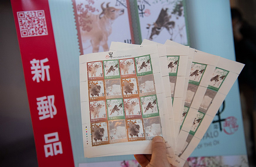 澳門值日生肖600圖庫與八百圖庫開獎(jiǎng)，探索生肖圖庫的魅力與奧秘，澳門生肖圖庫開獎(jiǎng)揭秘，探索值日生肖600圖庫與八百圖庫的魅力與奧秘