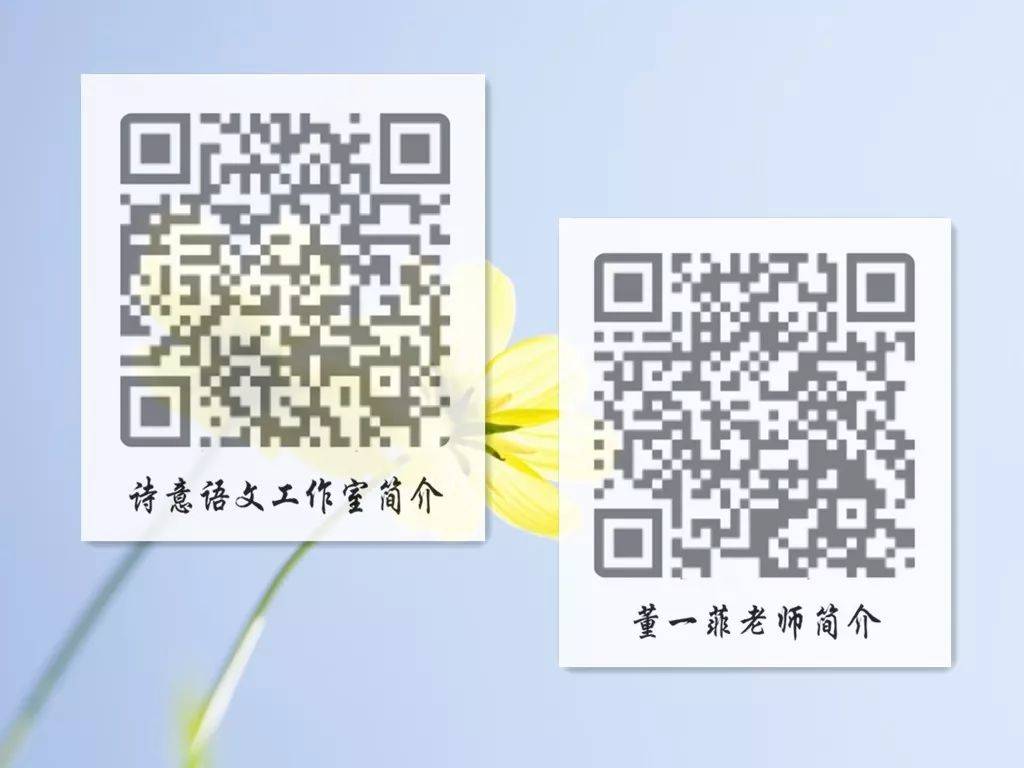 一碼一肖一特一，揭秘背后的秘密與獨(dú)特之處，揭秘一碼一肖一特一的獨(dú)特之處與背后秘密