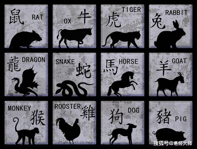 新澳特碼，羊?；⒏鲾?shù)10的獨(dú)特魅力與解析，新澳特碼，羊牛虎各數(shù)10的獨(dú)特魅力深度解析