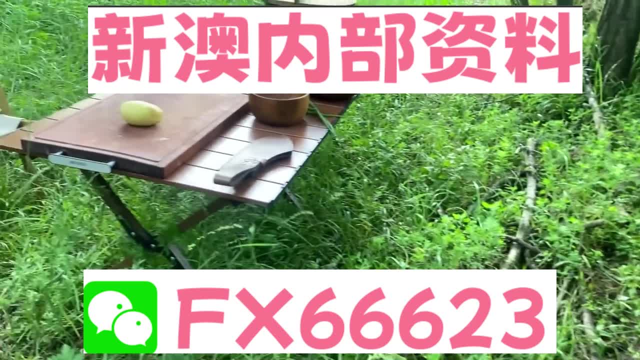 新奧特碼走勢圖解析與預(yù)測，新奧特碼走勢圖解析與預(yù)測，未來趨勢探討