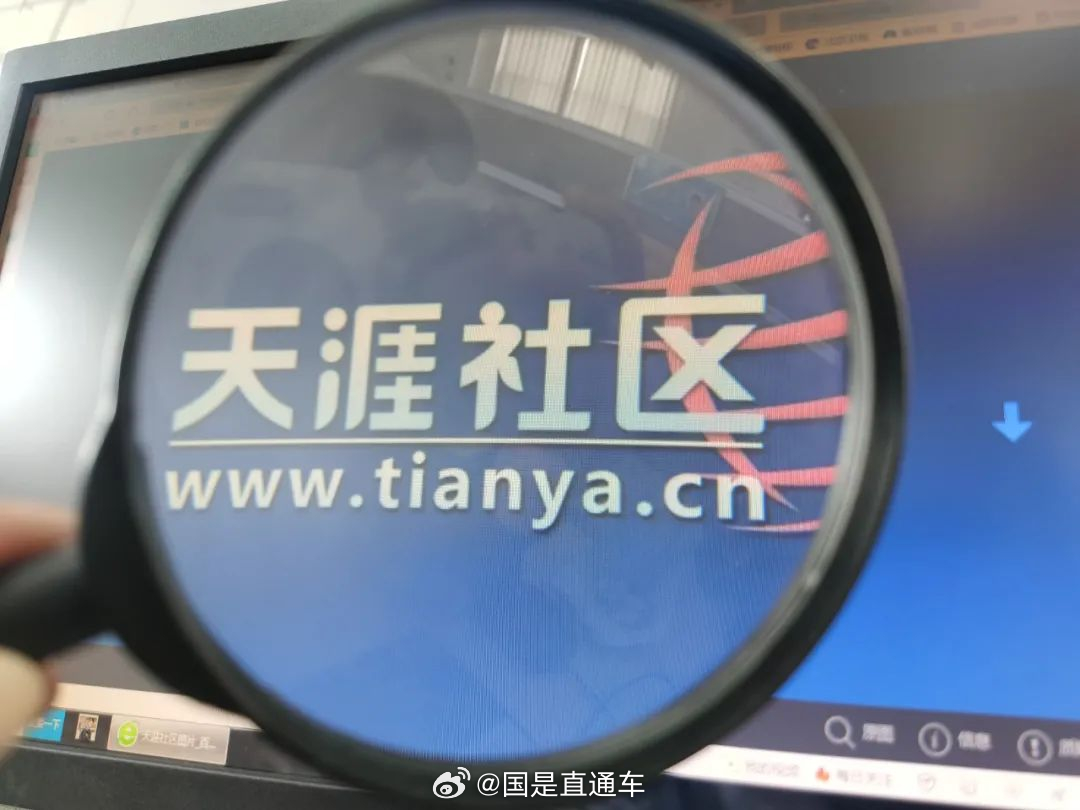 天涯國際觀察，全球視野下的深度分析與洞察，全球深度洞察，天涯國際觀察分析