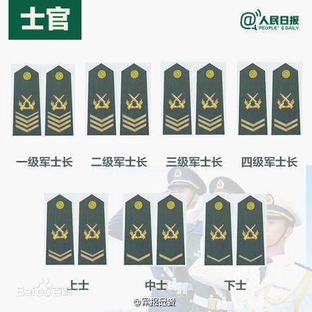 全球各國軍士長軍銜對照表及其重要性，全球各國軍士長軍銜對照表，揭示其重要性