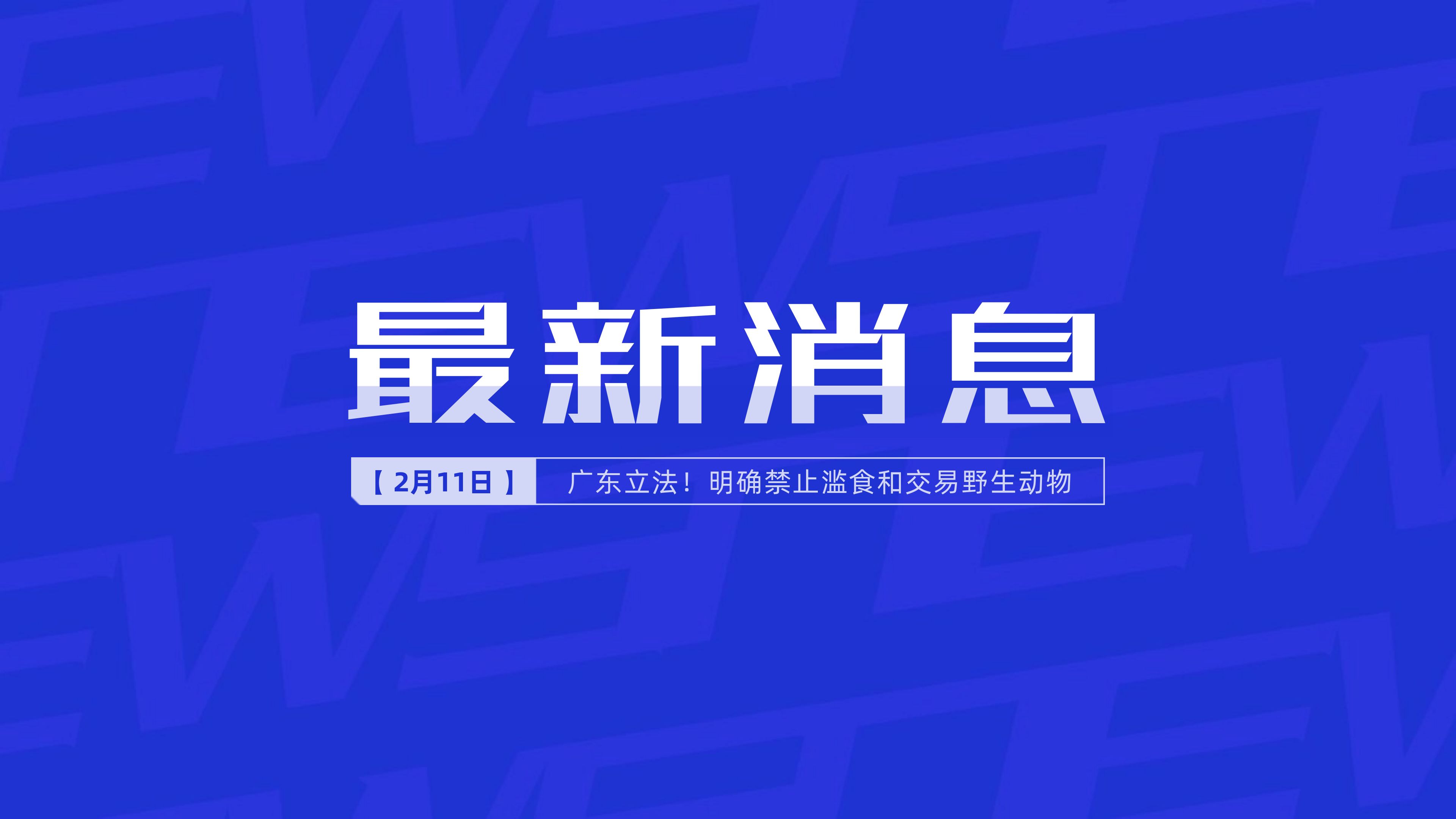 新聞最新新聞，掌握時事熱點，洞悉世界動態(tài)，時事熱點速遞，掌握全球最新動態(tài)新聞
