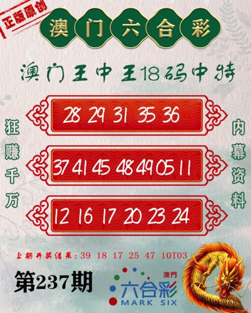 新澳門王中王期期中，探索與解析，新澳門王中王期期中，深度探索與解析