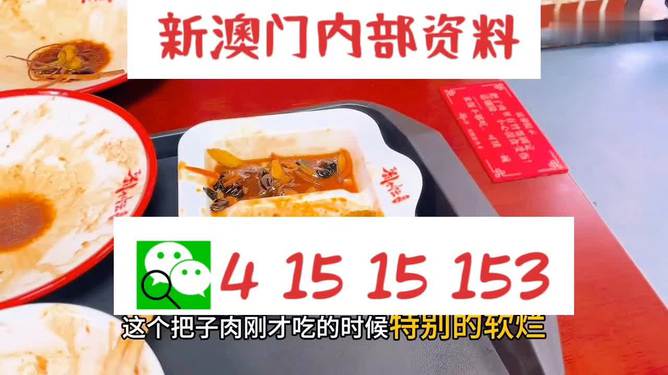 澳門王中王六碼新澳門，探索與解析，澳門王中王六碼新澳門，深度探索與解析