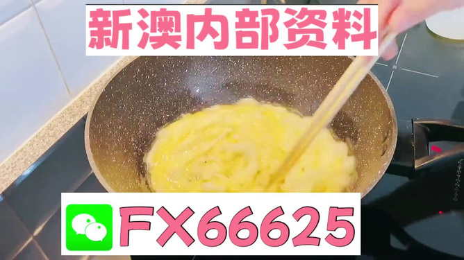 澳門九點(diǎn)半9點(diǎn)半網(wǎng)站——探索與體驗(yàn)，澳門九點(diǎn)半網(wǎng)站，探索與體驗(yàn)之旅