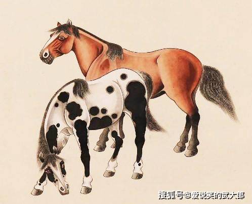 香港四不像一肖生肖圖，揭秘背后的神秘文化，香港四不像一肖生肖圖，神秘文化背后的揭秘