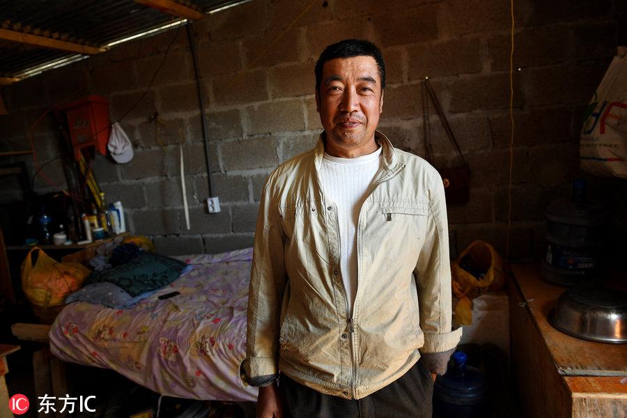 博科圣地組織，深度解析與理解，博科圣地組織深度解析與探究