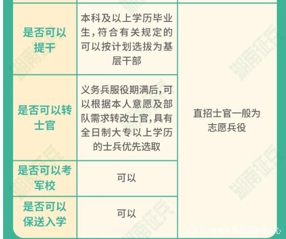 士官直招與義務(wù)兵的區(qū)別，深入了解軍隊招募制度，直招士官與義務(wù)兵招募制度深度解析，軍隊招募制度詳解
