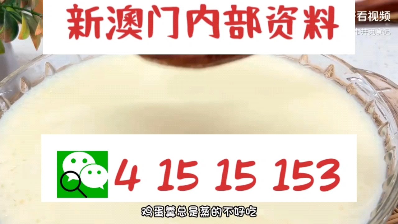 新澳門中特網(wǎng)中特馬，探索與解析，澳門中特馬探索與解析指南