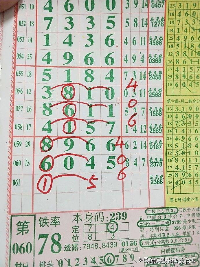 平特肖推算法，探索搜索引擎優(yōu)化的新境界，平特肖推算法，開啟搜索引擎優(yōu)化新境界的探索之旅
