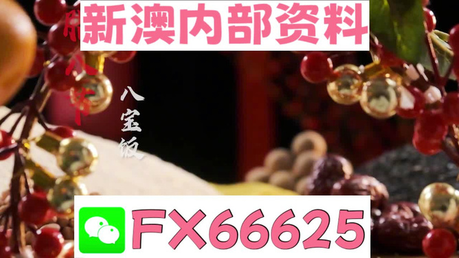 2024澳門正版精準免費資料大揭秘，澳門正版精準免費資料大揭秘，揭秘未來預測與秘密情報