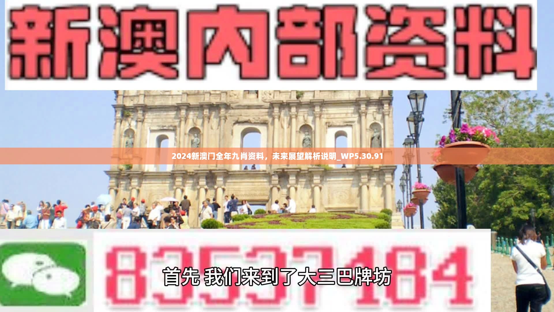 新澳門(mén)精準(zhǔn)九肖，揭秘預(yù)測(cè)技巧與策略，揭秘新澳門(mén)精準(zhǔn)九肖預(yù)測(cè)技巧與策略