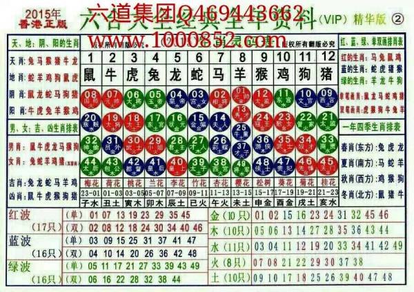 揭秘2024十二生肖49碼表——完整指南，揭秘十二生肖49碼表全攻略，2024年最新版指南