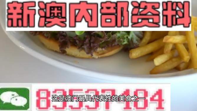 新澳2024生肖最新資料解析與預(yù)測，新澳2024生肖解析與預(yù)測報告