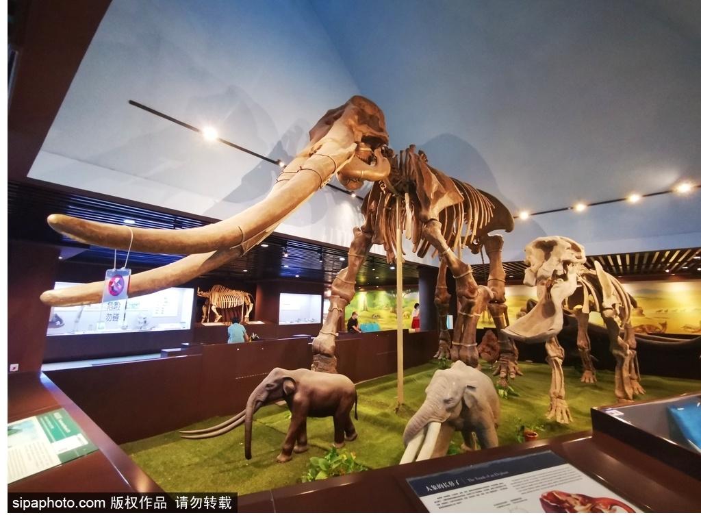 北京必去的十大博物館——探尋千年文化的精華之旅，北京必游十大博物館，千年文化精華之旅探尋記