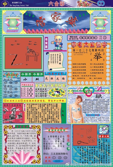 王中王四不像必出一肖圖——揭秘彩票背后的秘密，揭秘彩票背后的秘密，王中王四不像必出一肖圖的真相探索