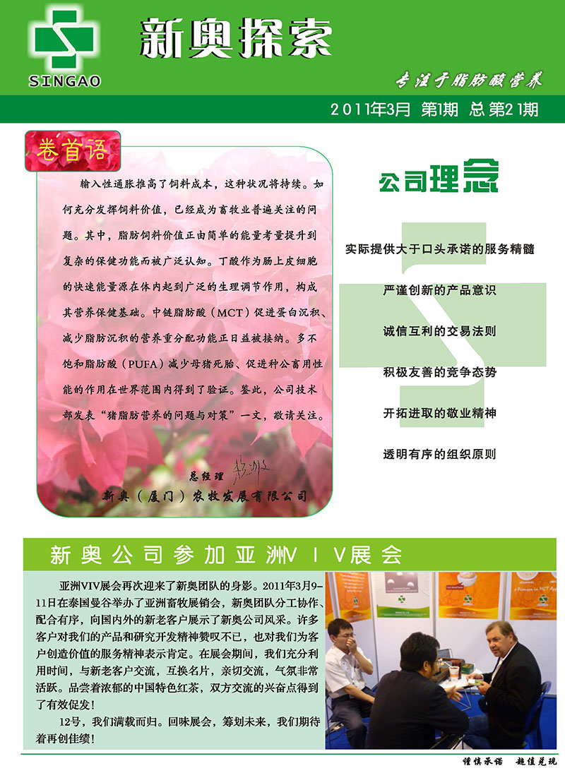 2025新澳正版資料精準(zhǔn)解析與預(yù)測，2025新澳正版資料精準(zhǔn)解析與趨勢預(yù)測