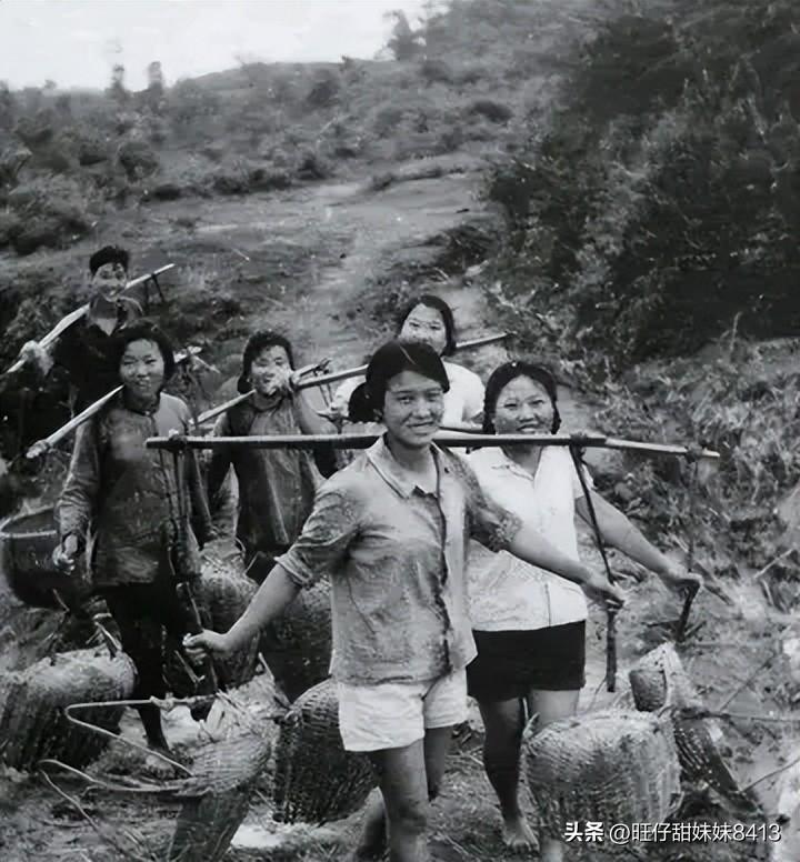 關(guān)于49圖庫(kù)圖片資料的專業(yè)解析與探索，49圖庫(kù)圖片資料深度解析與探索