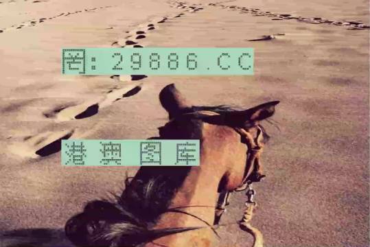 香港特馬資料王中王24期，深度解析與探索，香港特馬資料王中王深度解析與探索，第24期探索之旅