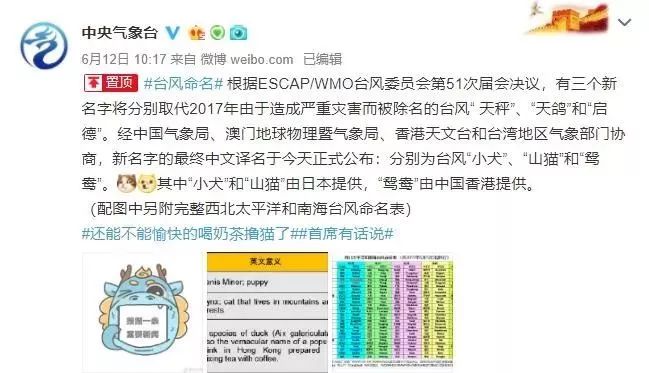 新澳門必中三肖三碼三期必開劉伯，揭秘彩票背后的秘密與策略，揭秘彩票背后的秘密與策略，劉伯的新澳門三期必開三肖三碼預(yù)測技巧