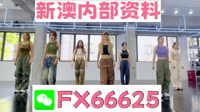 新澳一肖，探索與解析，新澳一肖，深度探索與解析