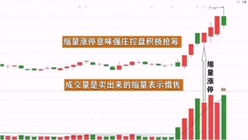 王中王一肖平碼，揭秘背后的故事與SEO策略，王中王一肖平碼背后的故事與SEO策略揭秘