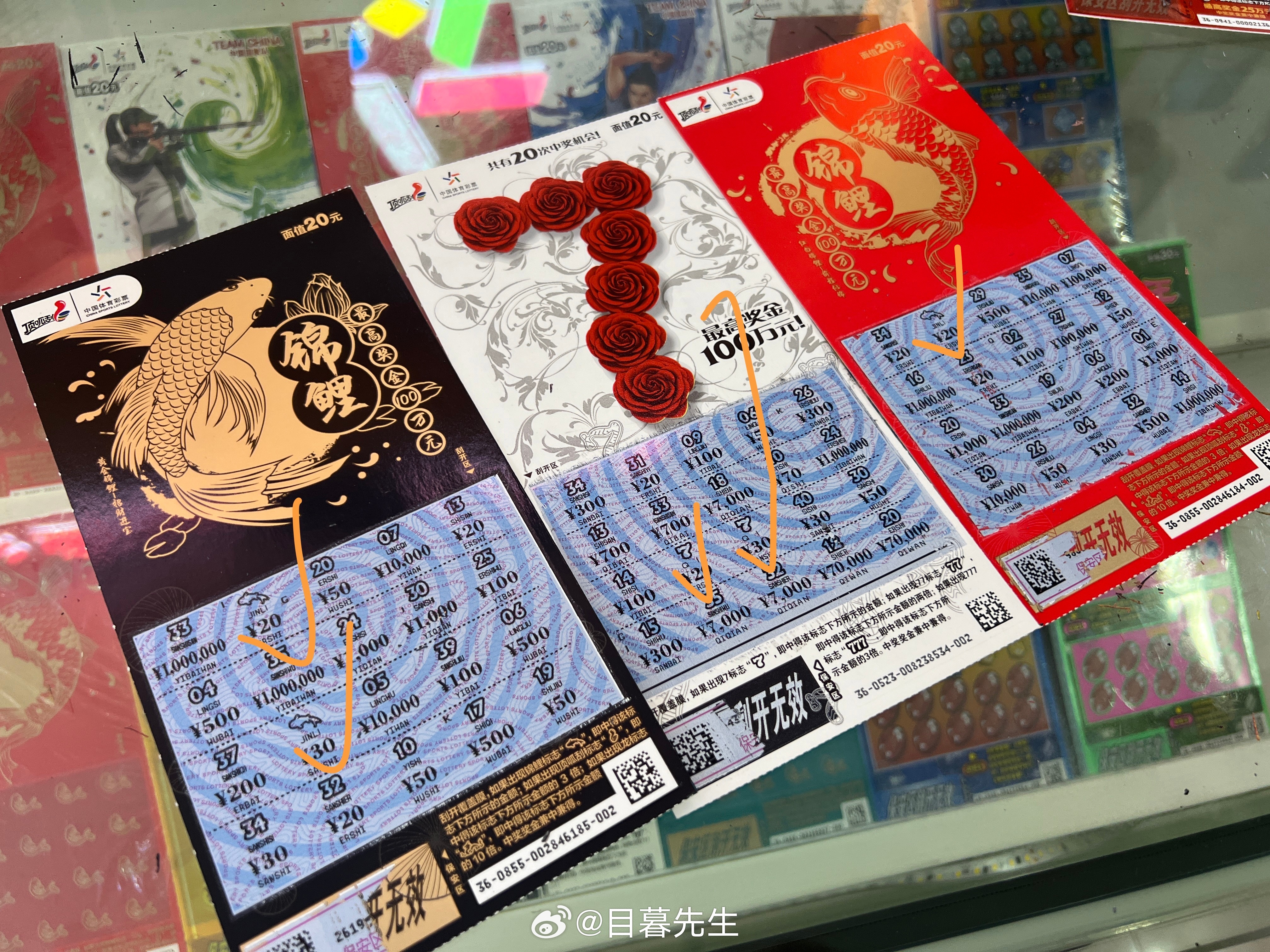 全年王中王一肖中特，深度解析與預測，全年王中王一肖深度解析與預測，揭秘特肖趨勢