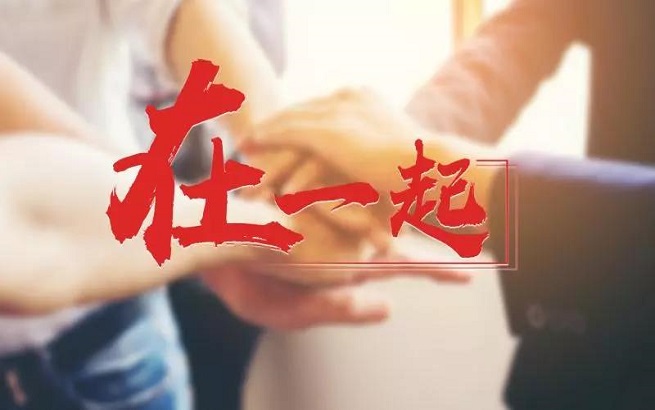 王中王一字一句解一肖——深度解析生肖奧秘，深度解析生肖奧秘，王中王揭示生肖秘密