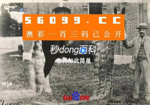 澳門王中王心水王中王，探索與解析，澳門王中王心水奧秘，深度探索與解析