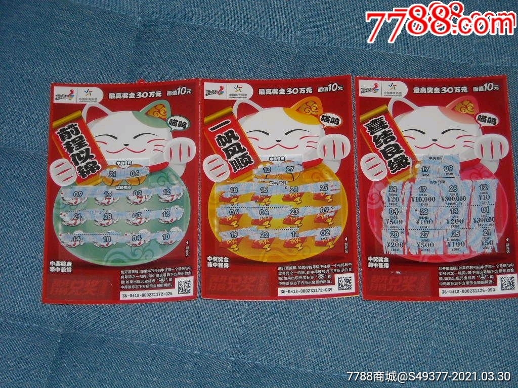 揭秘王中王資料一肖中特y招財(cái)貓，真相與秘密，揭秘王中王資料與招財(cái)貓，真相與秘密探索