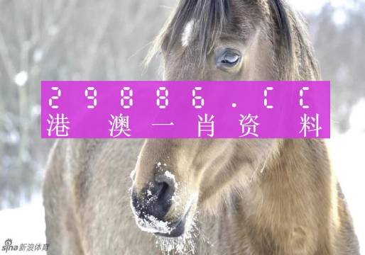 澳門一肖一碼背后的故事，一個關于精準預測與傳奇的揭秘，澳門一肖一碼傳奇背后的精準預測與揭秘之旅