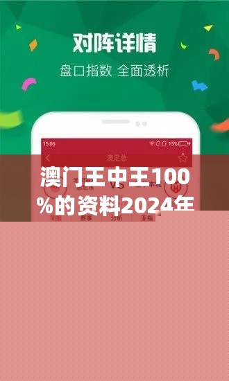 王中王網(wǎng)站一肖，探索與SEO優(yōu)化策略，王中王網(wǎng)站一肖，深度探索與SEO優(yōu)化策略實踐