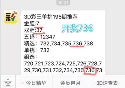 王中王一肖中特4993，深度解析與探索，王中王一肖中特4993深度解析與探索報告